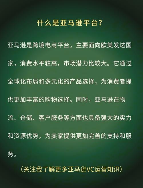 亚马逊平台上注册的公司有哪些类型？