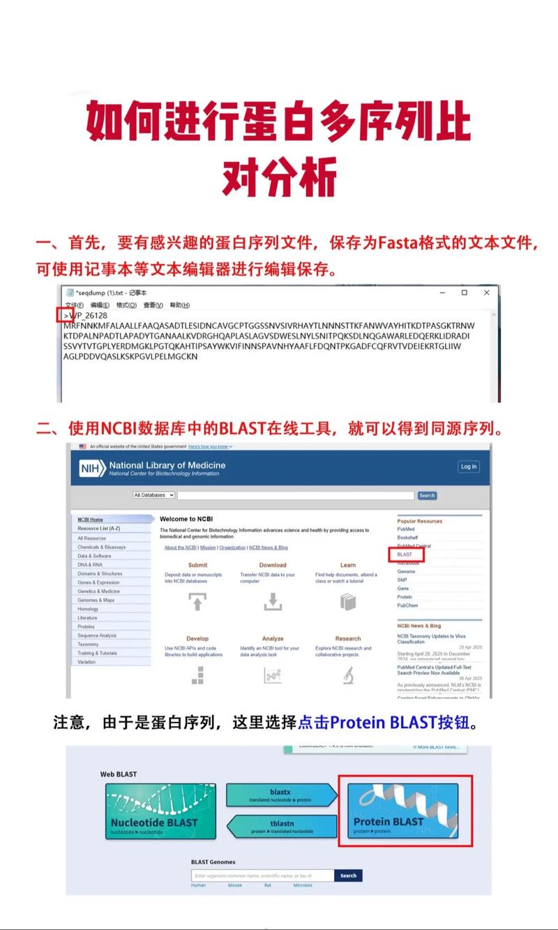 Python如何计算特定氨基酸在蛋白序列中的比例？