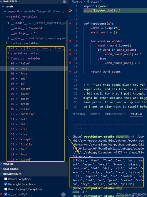 如何运用Python中的调试技巧来优化代码性能？