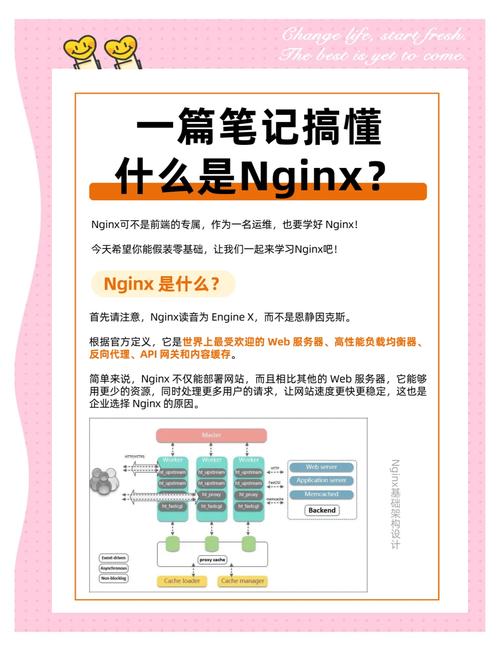 如何开始学习Nginx模块开发？