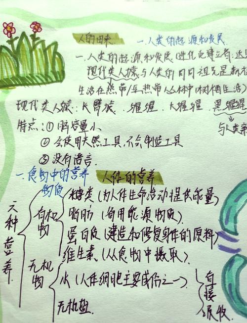 P2024食物链题解查集如何改写为长尾词？