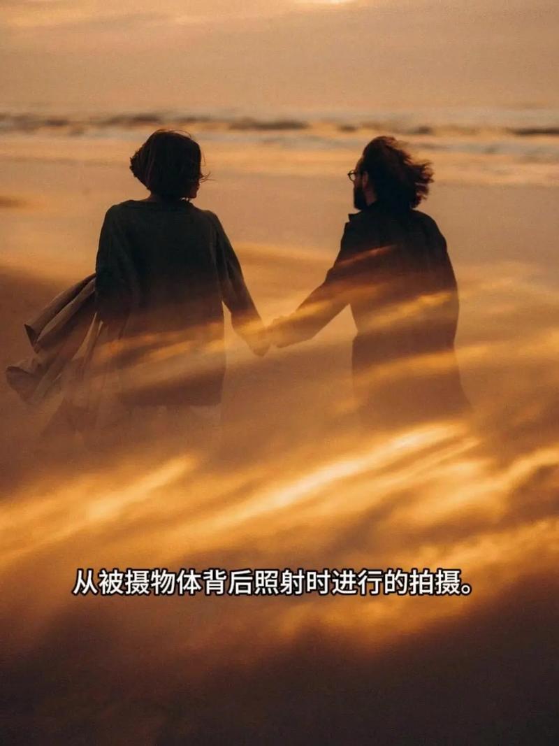 单反相机逆光拍照时如何避免画面过曝，捕捉到最佳光影效果？