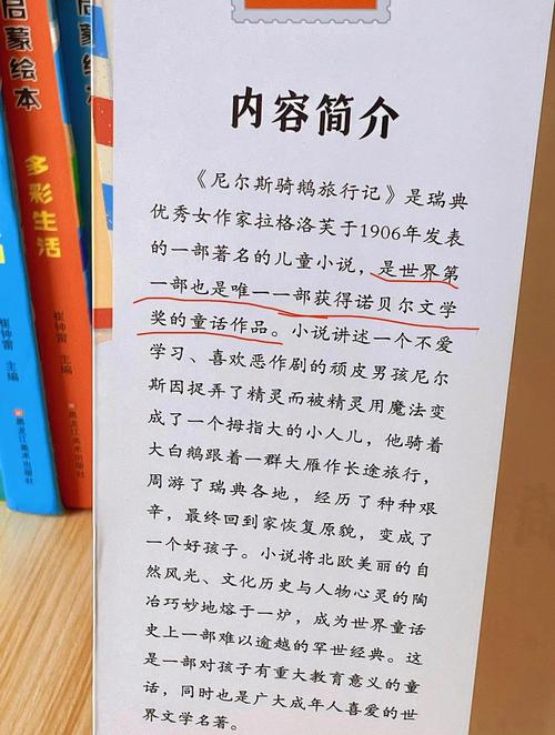 《C》这本书的作者有哪些主要观点？