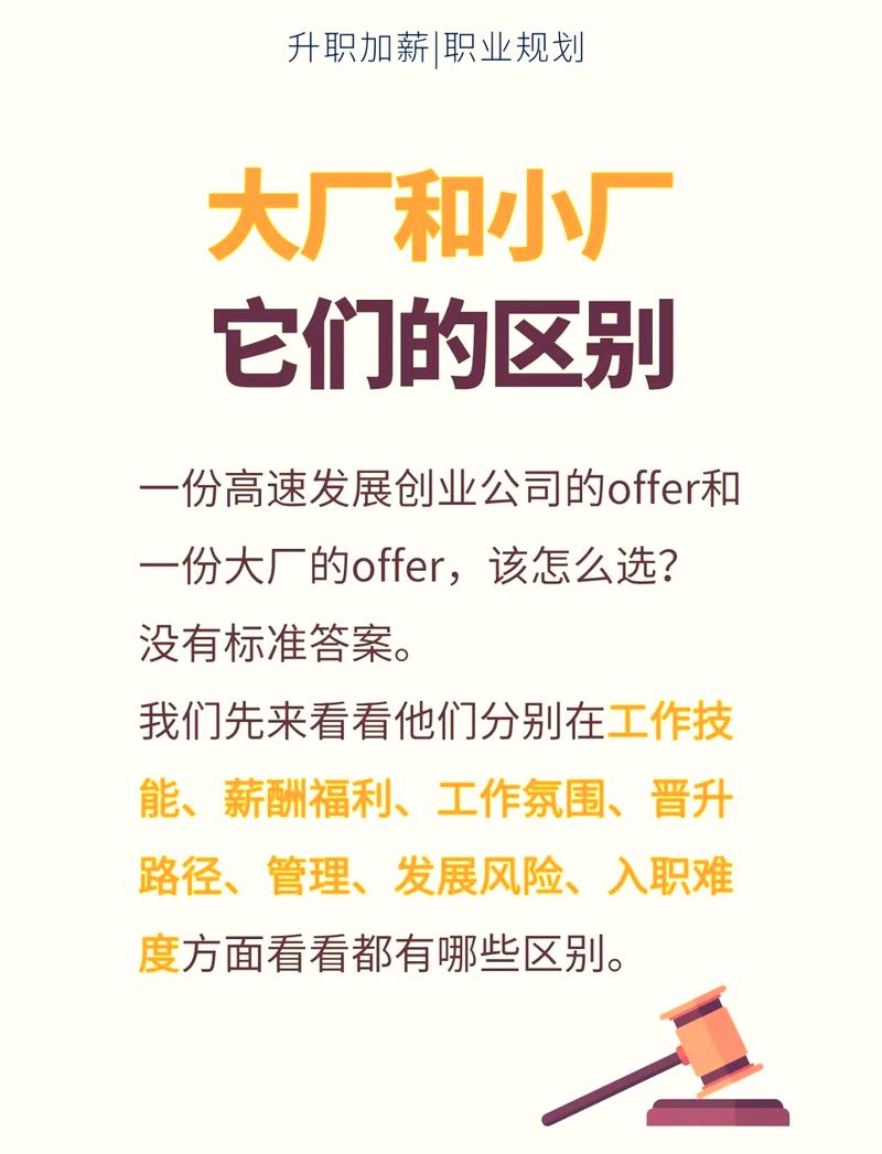 大厂跟进项目与普通项目在哪些方面差异显著？