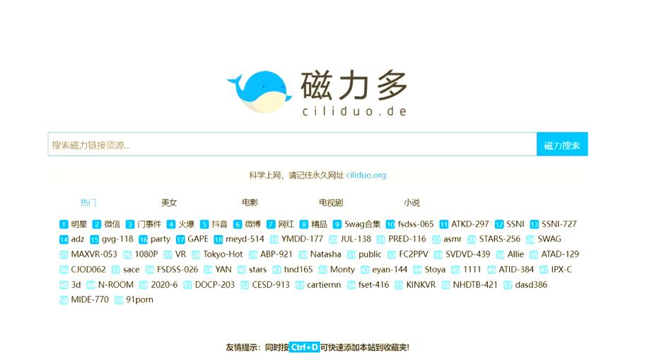 磁力快搜神器，如何高效搜索资源？