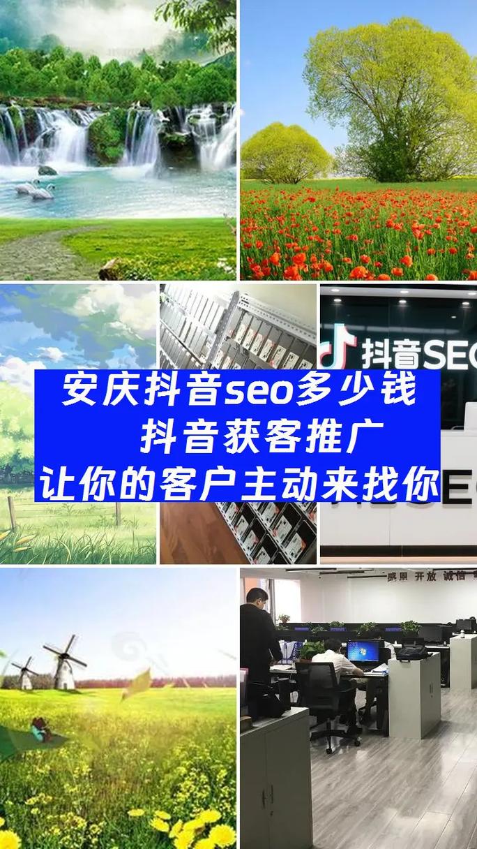 安庆SEO/网站制作，哪家性价比更高，值得推荐？