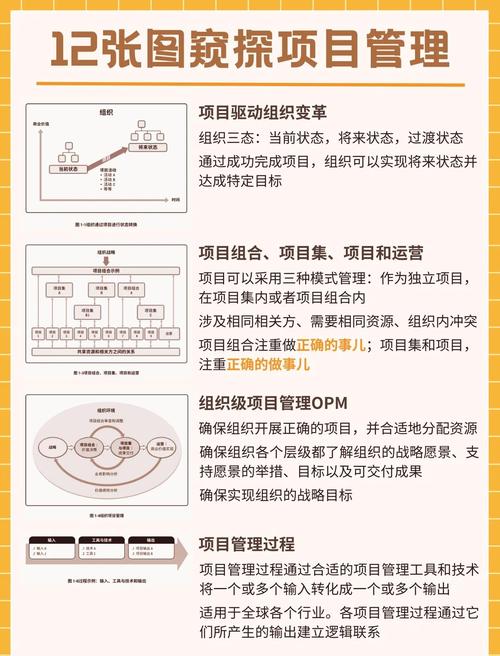 如何具体区分项目理解与项目概述之间的细微差别？
