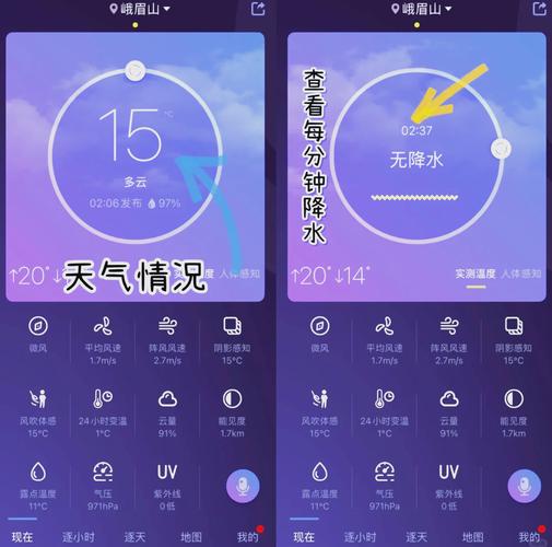 有哪些APP能提供精确到每小时每条街的天气预报服务？