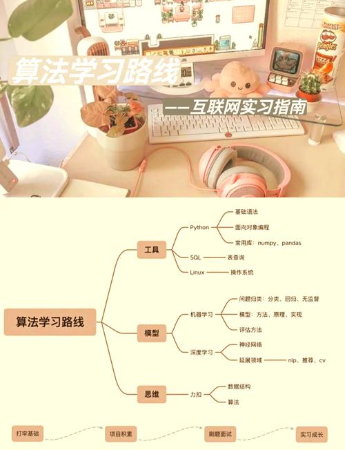 我的算法学习之旅是怎样的？