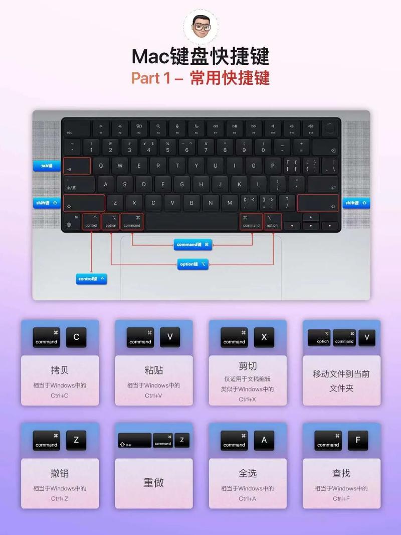 如何详细掌握Django admin TabularInline类的使用技巧？