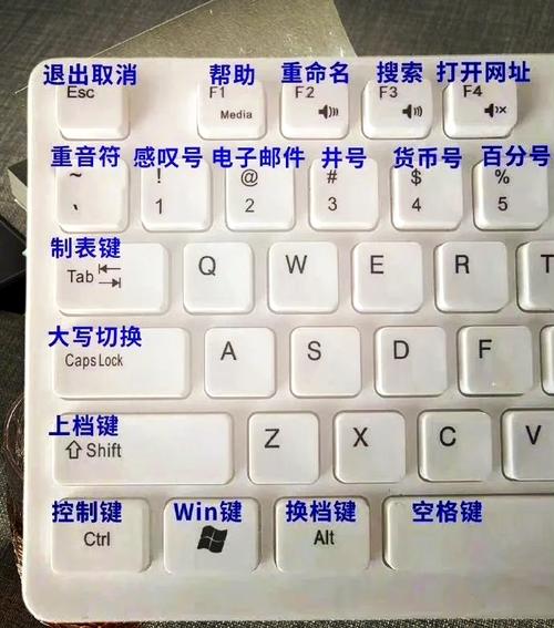 在键盘上滚动屏幕的键是哪个？