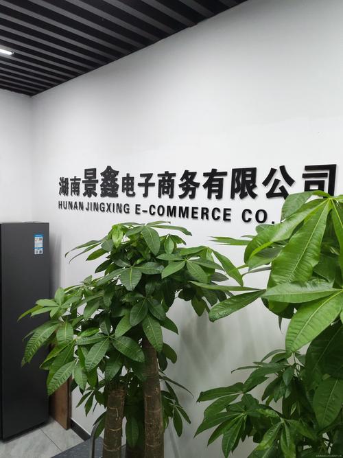 娄底地区有哪些知名的高端网站建设及SEO服务公司？
