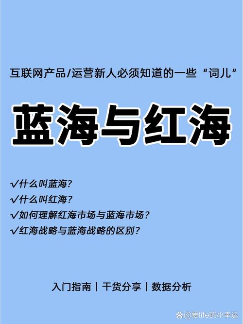 如何在流量红海与生态变革中寻找独立站运营的新蓝海？