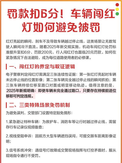在误闯红灯后该如何正确处理以避免处罚？