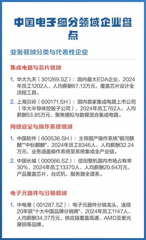 这家企业主要涉及哪个细分业务领域呢？