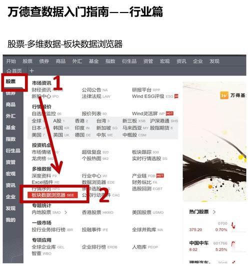 万德数据库主要查询哪些金融数据？能否提供更详细的金融数据种类？
