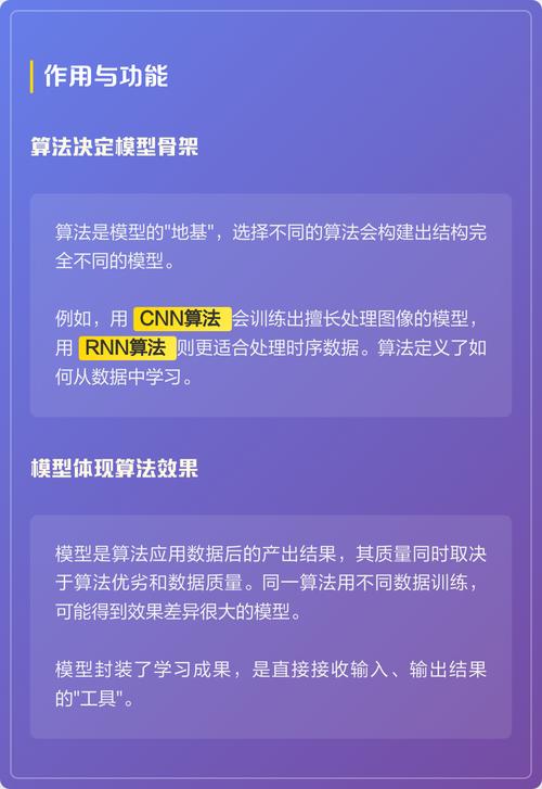 算法与项目在本质区别上，如何界定两者的根本差异？