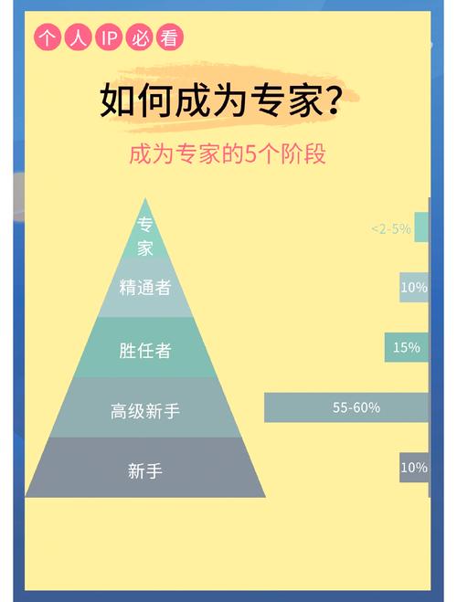 如何从零基础开始学习郴州网站SEO，逐步成长为行业专家？