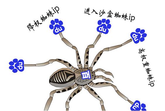 百度蜘蛛对质量文章的挑剔眼光，究竟隐藏着哪些评判标准？