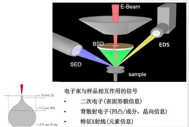 sem原理究竟由哪些核心组成部分构成？