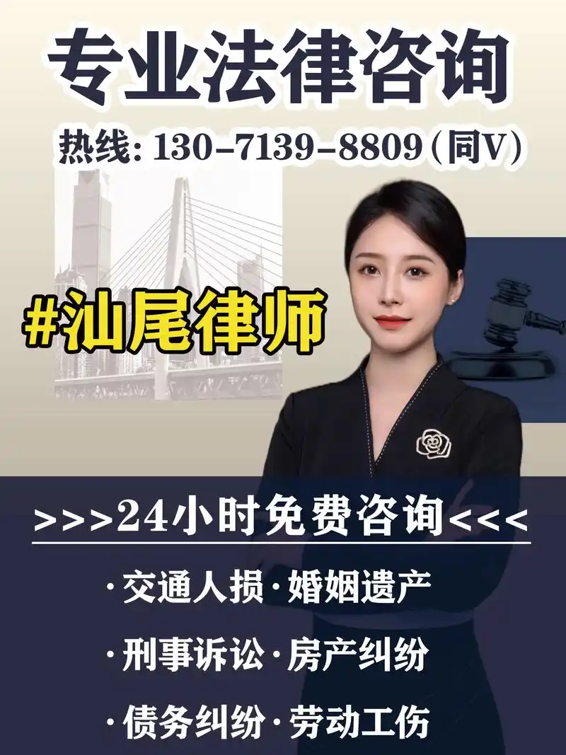 汕尾SEO/网站制作专家，您能提供免费咨询热线吗？