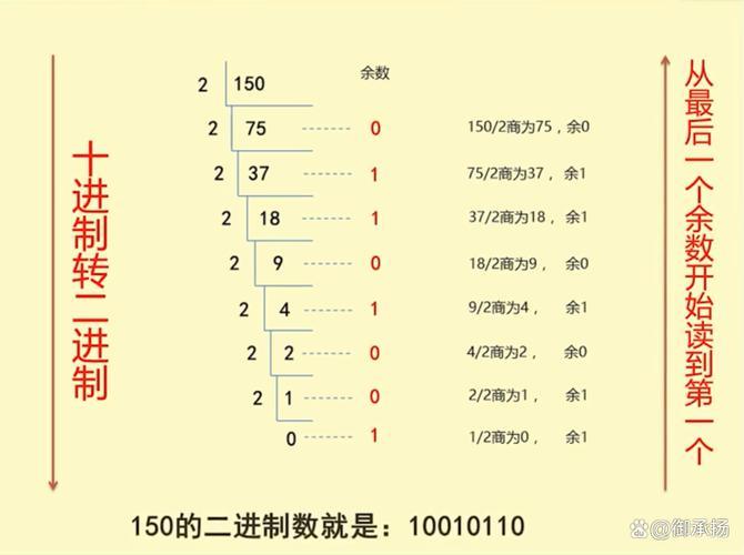 如何将JavaScript中的二进制数转换成十进制数？