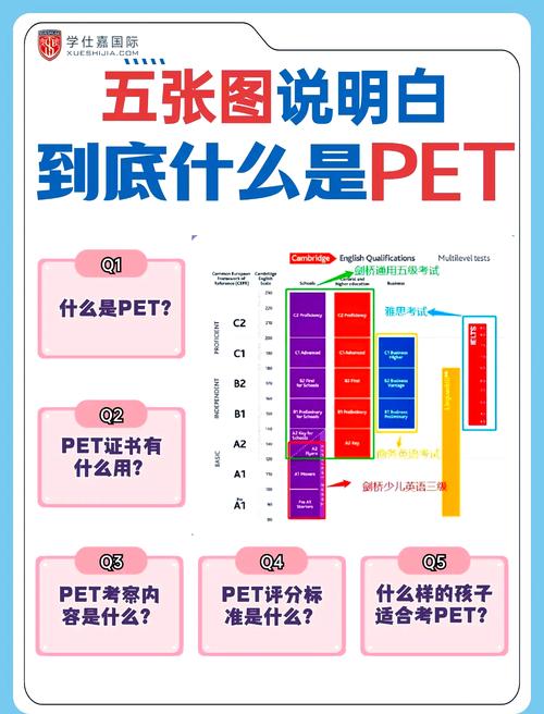 你如何确保对PetShop的分层架构有深刻理解？