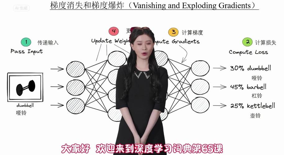 如何有效应对梯度爆炸问题：采用clip gradient技术？