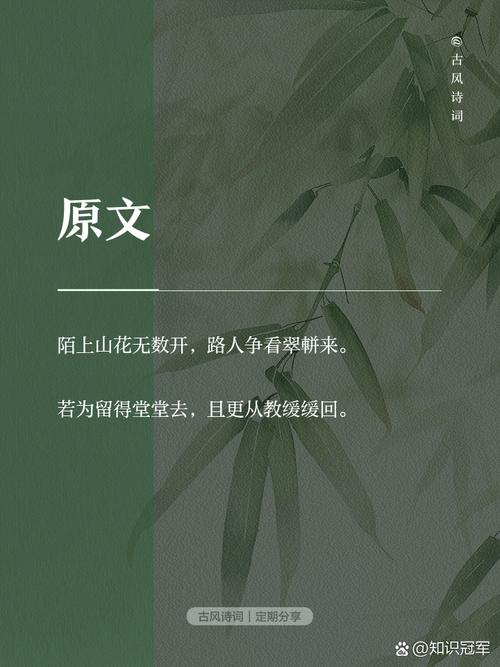 [BZOJ3262]陌上花开这个题目，你了解吗？