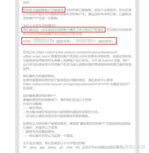 如何有效应对亚马逊独立站侵权问题，保护品牌权益？