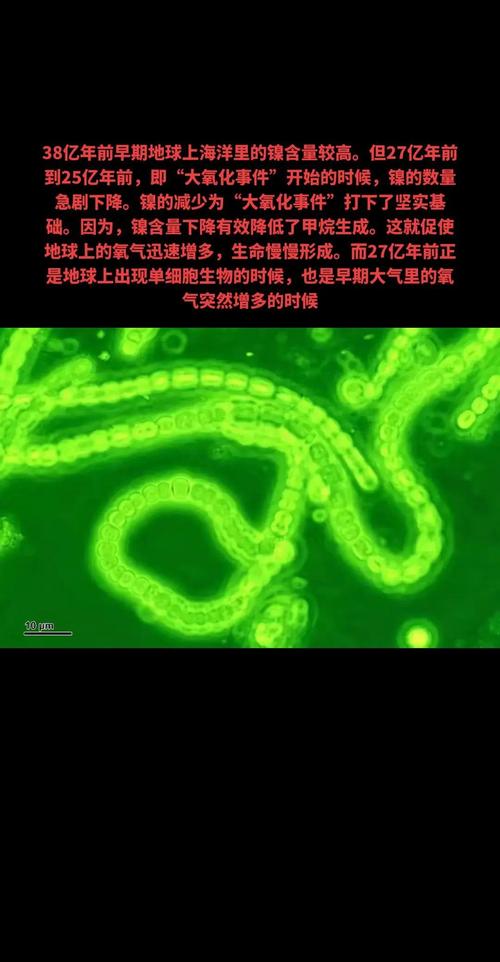 这种罕见的C现象是如何形成的？