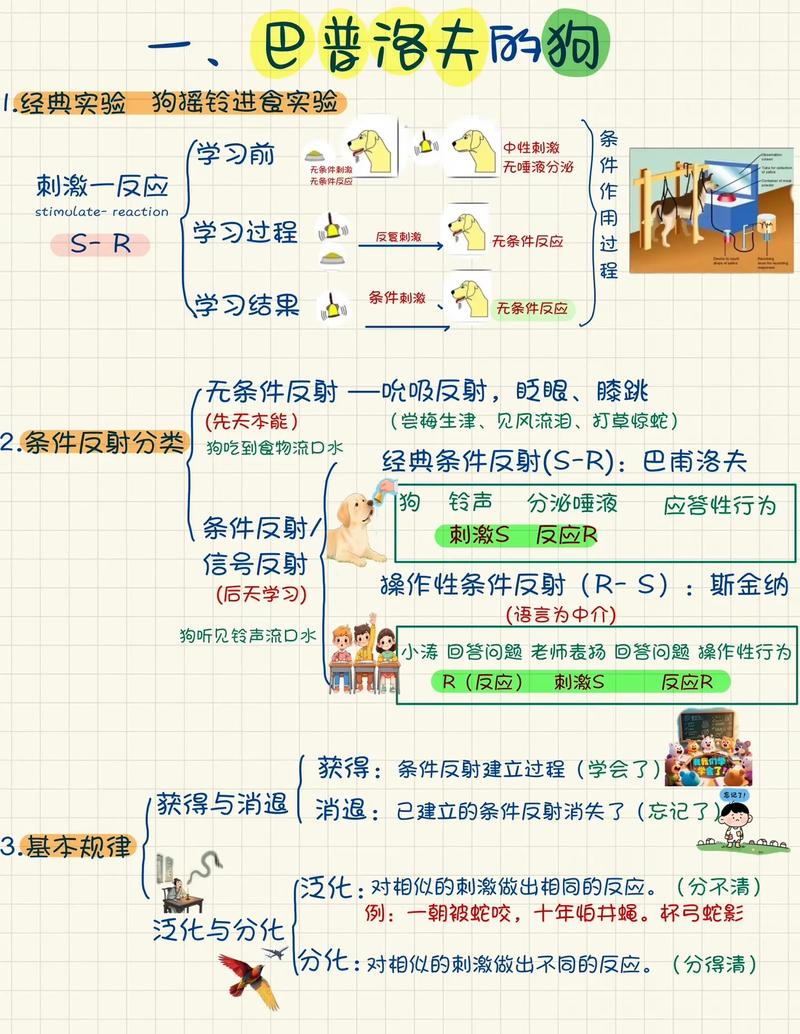 DotNet反射机制如何从零开始学习？