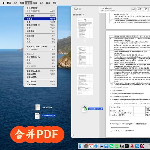 如何直接在ASP.NET MVC项目中预览生成的PDF文件？