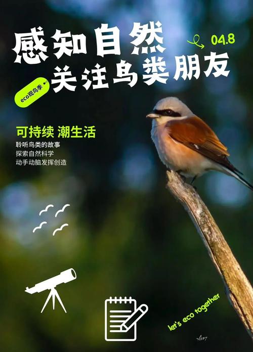 独立站投放小鸟广告具体是哪种营销方式？