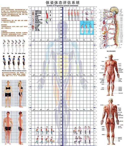 Gym - 101246A Bencoding是什么意思？