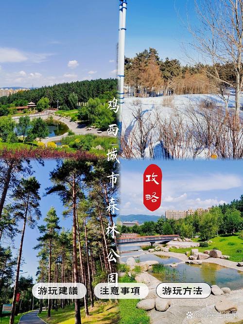 鸡西旅游攻略大全，如何聚焦本地特色打造最佳旅游体验？