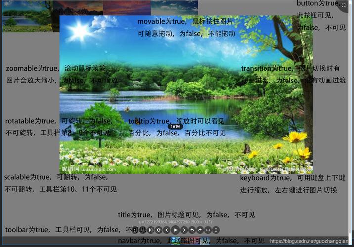 Vue图片浏览组件v-viewer如何实现旋转、缩放功能？