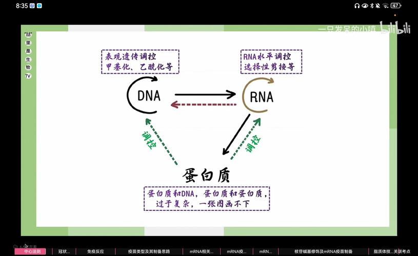 长沙依诺生物科技如何构建mRNA领域的全球顶尖平台？