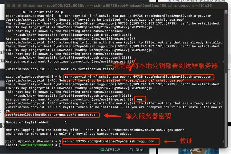 如何一键自动重启Debian SSH服务实现快速恢复SSH连接？