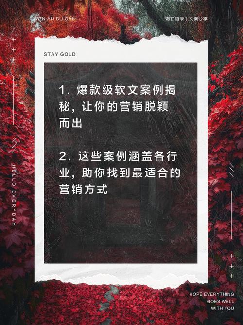 如何撰写SEO软文才能吸引更多读者关注？