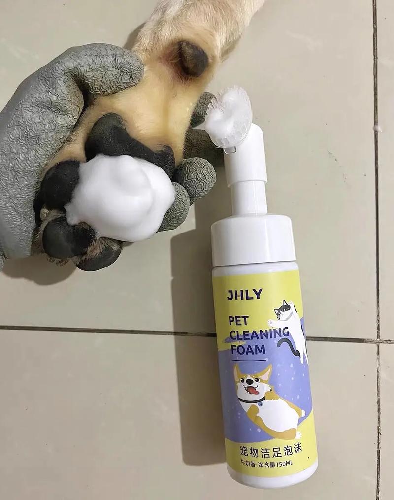 如何通过狗爪清洁器独立站打造年入百万的垂直电商生意？