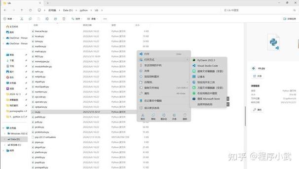 如何利用Python开发一个功能丰富的CMS系统插件管理模块？