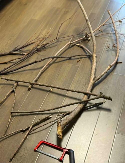 如何自己动手制作实用的栖架,打造独立站杆鸟笼指南?