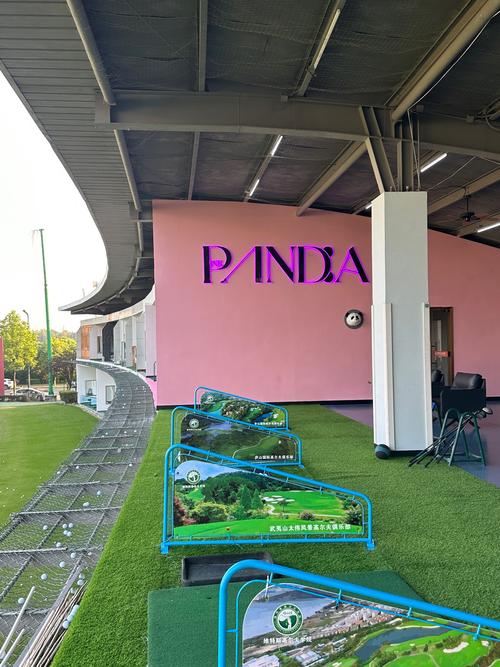 终于搭建好Laravel Sail环境，这是不是意味着我可以轻松开发Laravel项目了？