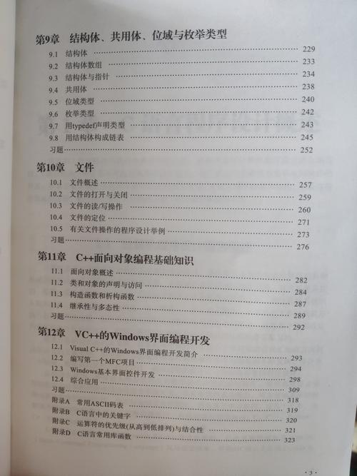 《程序设计：究竟是为己还是为他人？》（2009年12月22日）