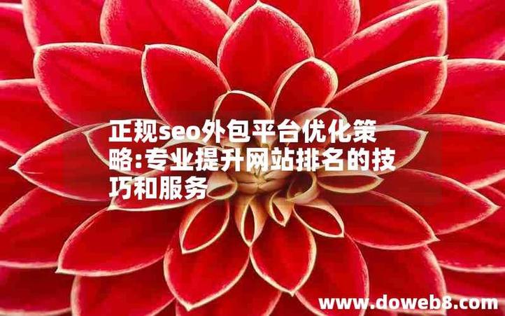 北京SEO外包，哪家专业值得首选？