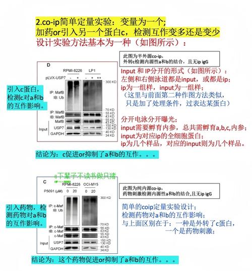 如何深入理解LWIP的pbuf.c文件实现原理？