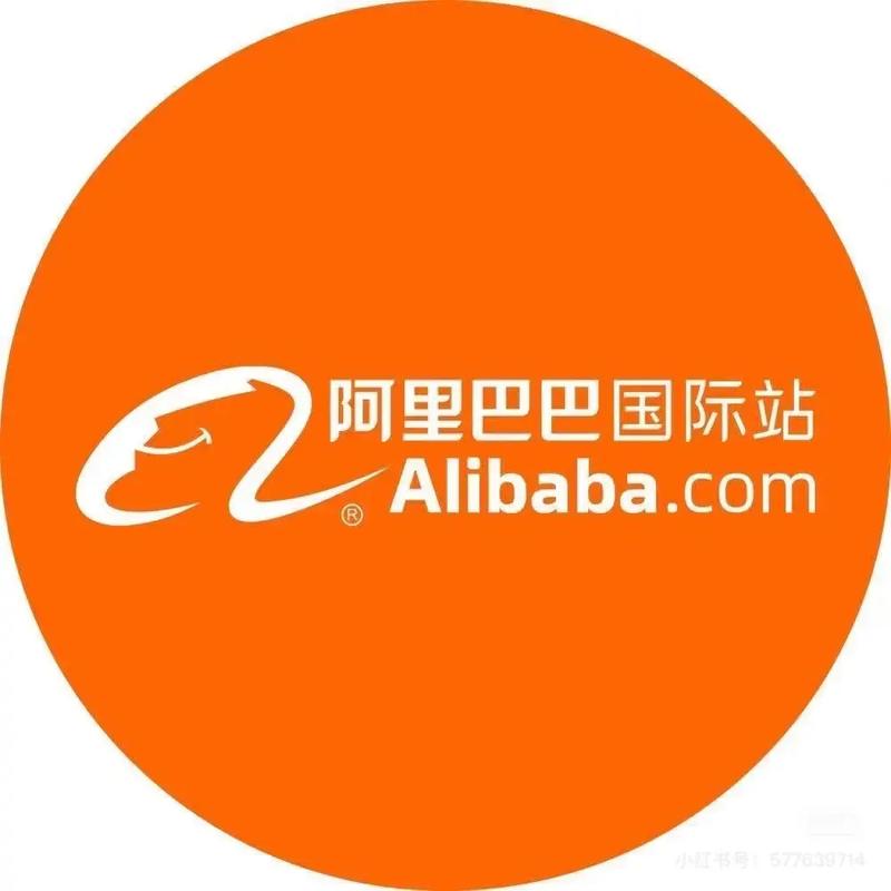 阿里独立站真的能赚钱吗？揭秘其机会与挑战有哪些？