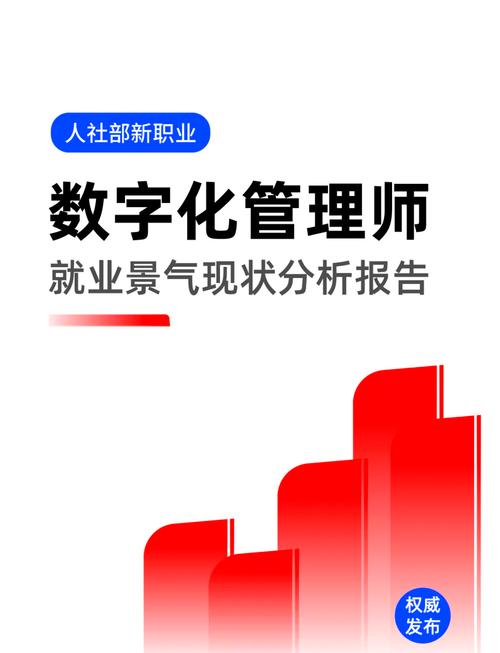 数据库系统中负责数据管理的专业人员叫什么名字？