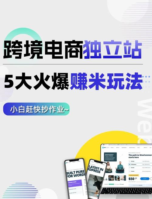 新手小白做跨境独立站，真的能轻松赚到钱吗？